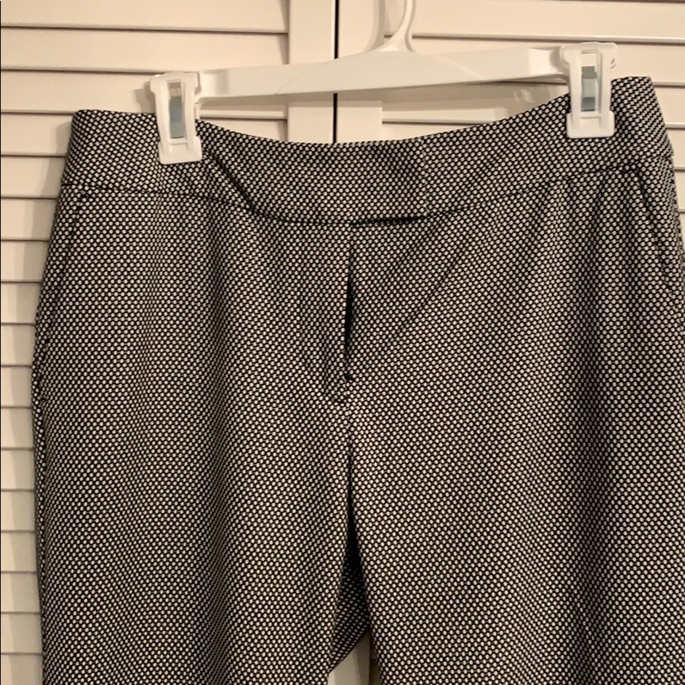 AnnTaylor Dress Pants
